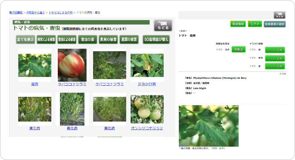 病害虫診断 検索画面2